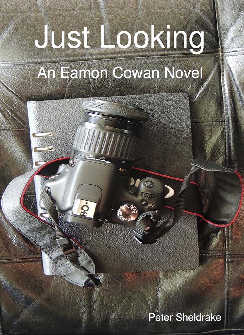 Just Looking - An Eamon Cowan Novel